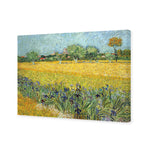 Field with Flowers near Arles - by Van Gogh