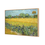 Field with Flowers near Arles - by Van Gogh