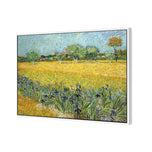 Field with Flowers near Arles - by Van Gogh