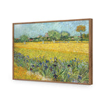 Field with Flowers near Arles - by Van Gogh