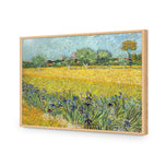 Field with Flowers near Arles - by Van Gogh