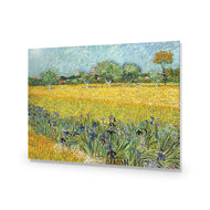 Field with Flowers near Arles - by Van Gogh