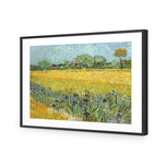 Field with Flowers near Arles - by Van Gogh