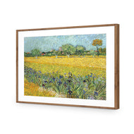 Field with Flowers near Arles - by Van Gogh