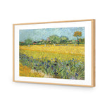 Field with Flowers near Arles - by Van Gogh