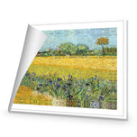 Field with Flowers near Arles - by Van Gogh