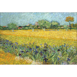 Field with Flowers near Arles - by Van Gogh