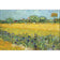 Field with Flowers near Arles - by Van Gogh