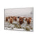 Herd of Highlanders