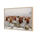 Herd of Highlanders (shelved)