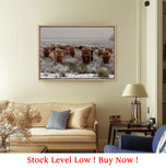 Herd of Highlanders (shelved)