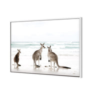 Roo Holiday (shelved)