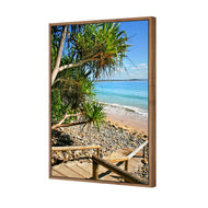 Sunshine Coast Steps