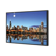 Chicago Under Moonlight