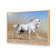 White Arabian Horse