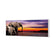 African Savannah Elephants