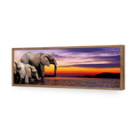 African Savannah Elephants