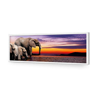 African Savannah Elephants