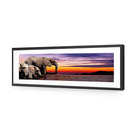 African Savannah Elephants