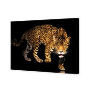 Angry Panther