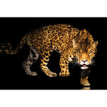 Angry Panther