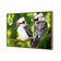 Kookaburra Pair