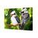 Kookaburra Pair