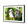Kookaburra Pair