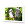 Kookaburra Pair