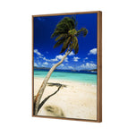 Palm Reflection