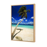 Palm Reflection