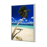 Palm Reflection