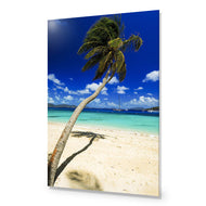 Palm Reflection