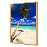 Palm Reflection