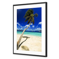 Palm Reflection