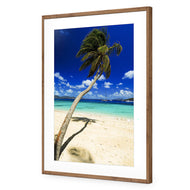 Palm Reflection