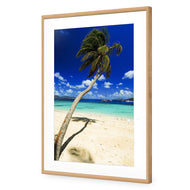 Palm Reflection
