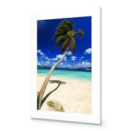 Palm Reflection