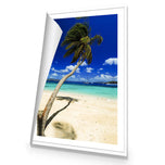 Palm Reflection
