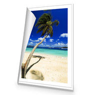 Palm Reflection
