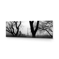 Eiffel Tower Through Trees, B&W