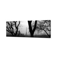 Eiffel Tower Through Trees, B&W