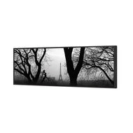 Eiffel Tower Through Trees, B&W