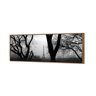 Eiffel Tower Through Trees, B&W