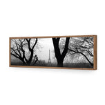 Eiffel Tower Through Trees, B&W