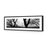 Eiffel Tower Through Trees, B&W