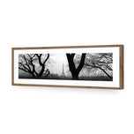 Eiffel Tower Through Trees, B&W