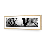 Eiffel Tower Through Trees, B&W