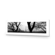 Eiffel Tower Through Trees, B&W