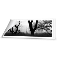 Eiffel Tower Through Trees, B&W